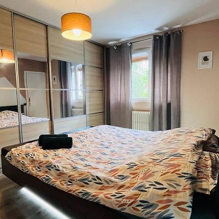 Appartement Proche Centre Ville Avec Parking Gratuit Annecy Kültér fotó