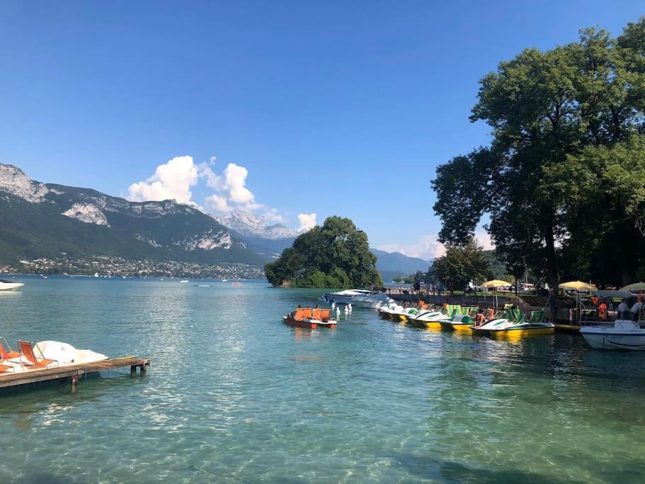 Appartement Proche Centre Ville Avec Parking Gratuit Annecy Kültér fotó